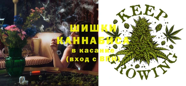 индика Россошь